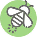 Icon: Insect bites or stings